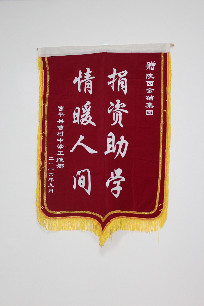 锦旗-富平县曹村中学王维娜
